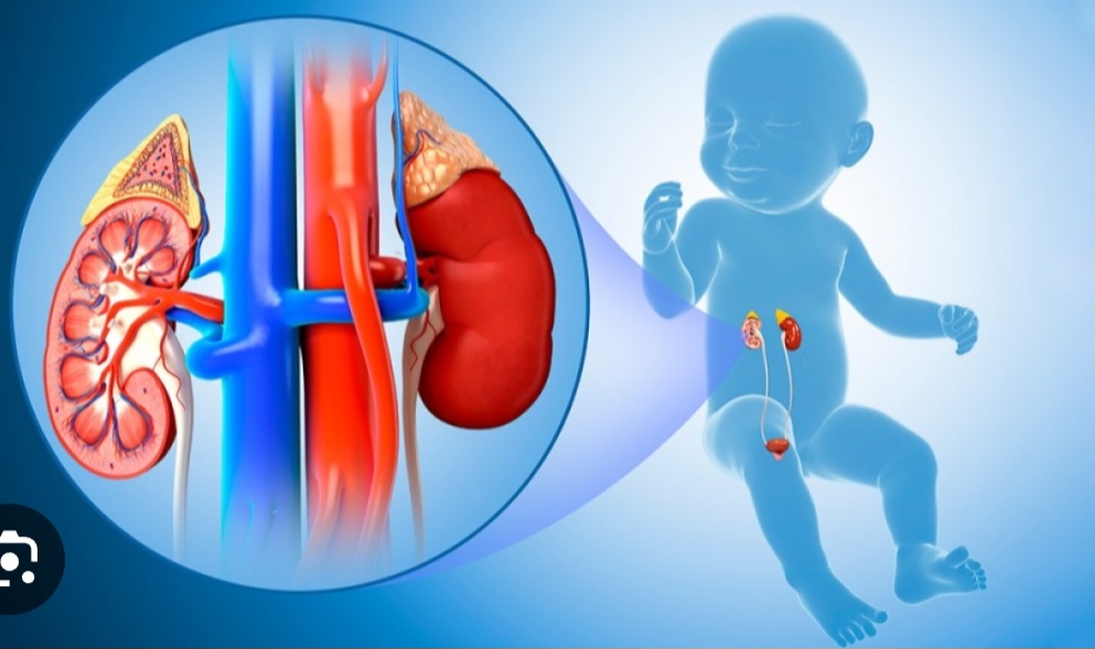 Pediatric Urology